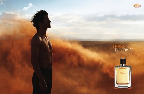 TERRE D'HERMES PARFUM